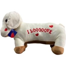 Bin1çeşit Sevimli Peluş Aşık Köpek Yastık 45 cm Dekoratif