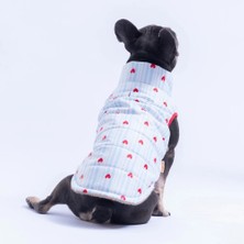 Pawstar 26118 Moyo Mavi Küçük Irk Köpek Yağmurluk Yelek