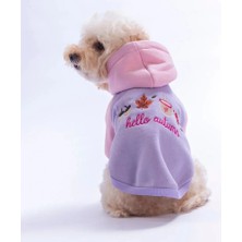 Pawstar 26740 Pembe Vermont Autumn Küçük Irk Köpek Hoodie Sweatshirt