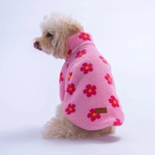 Pawstar 26211 Pembe Blossom Küçük Irk Köpek Pofuduk Kaban
