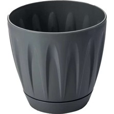 Bin1çeşit Papatya Saksı 1.5 Litre ROYALEKS-P002