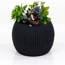 Bin1çeşit Mercan Saksı 2 Numara 0,35 Litre Su Hazneli Dekoratif Kaktüs Sukulent Saksı 11,8x9,2 cm
