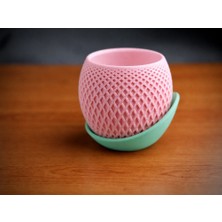 Bin1çeşit 3D Baskı Küre Saksı - Kafes Dokulu Iki Parçalı Dekoratif Saksı - Pembe-Mint
