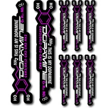 Cakaybu Dpmn Sticker Seti – 22X5 cm & 11X2 cm – Nh2 This Is My – Hologram