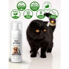 Str Store Kedi ve Köpek Kuru Şampuanı 150 Ml, Durulama Gerektirmeyen Vegan Temizleme Köpüğü, Banyo Aralarında Pratik Tüy Bakımı ve Ferah Görünüm Desteği