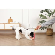 Str Store Slippers Bunny Köpek Oyuncağı Pembe