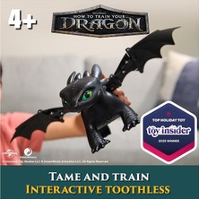 Dragons Interaktif Dişsiz