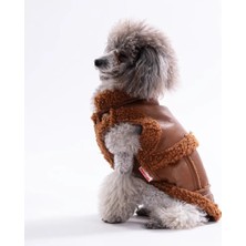 Pawstar Kahverengi Churchill Yelek L