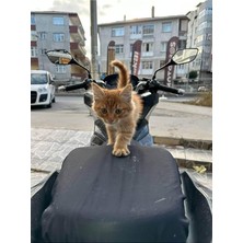 Vespa Primavera 150 Uyumlu Motosiklet Siyah Sele Kılıfı, Su Geçirmez Kumaş