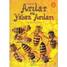 Tübitak Popüler Bilim Kitapları Ilk Okuma - Arılar ve Yaban Arıları