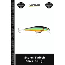 Carlburn Özel Seri Storm Twitch Stick Balığı Parça Ev Dekor