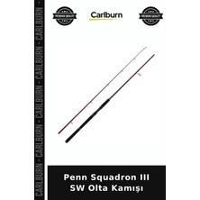 Carlburn Özel Üretim Penn Squadron Iıı Sw Olta Kamışı Deniz Ekipmanı Amatör Av Spin Avı