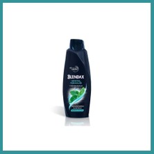 Bt Teknik Erkek Mentol Şampuan 500ML 1 Adet Bez