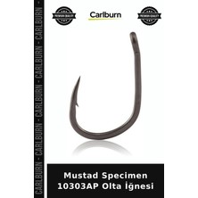 Carlburn Özel Üretim Mustad Specimen 10303AP Olta Iğnesi Kıyı Avcılık Su Üstü