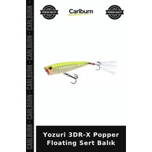 Carlburn Özel Üretim Yozuri 3dr-X Popper Floating Sert Balık Balıkçılık Atma Tuzlu Su