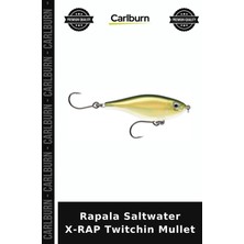 Carlburn Delux Serisi Rapala Saltwater X-Rap Twitchin Mullet Tuzlu Su Balık Yemi At Çek