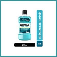 Bt Teknik Coolmint 250ML 1 Adet Bez