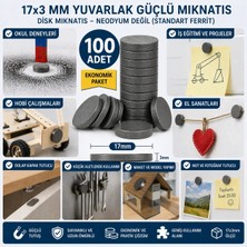 Uravas Store Uraselect 100 Adet Mıknatıs 17X3 mm Yuvarlak Güçlü Mıknatıs Disk Mıknatıs