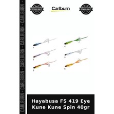 Carlburn Özel Seri Hayabusa Fs 419 Eye Kune Kune Spin 40GR Balık Yemi Açık Deniz