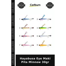 Carlburn Özel Seri Hayabusa Eye Maki Pita Minnow 30GR Yemleme At Çek Su Üstü