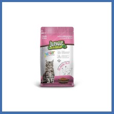 Jungle Yavru Kedi Maması Tavuklu 1,5 kg 1 Adet Evcem