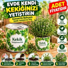 Uravas Store Uraselect Evde Konservede Kekik Dağ Kekiği Yetiştirme Kiti (Adet Fiyatıdır)