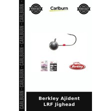 Carlburn Delux Serisi Berkley Ajident Lrf Jighead Deniz Avı Takım Sportif Av