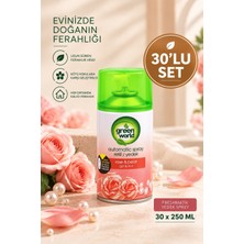 Green World Freshmatik Yedek Oda Kokusu 30'lu Set 250 ml x 30 – Rose & Pearl Gül ve Inci – Otomatik Sprey Yedeği