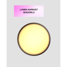 Uravas Store Uraselect Hareket Algılayan LED Gece Lambası Mıknatıslı Duvar Montajlı