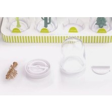 Beruflic Seasoning Shakers Dört Mevsim Baharatlık