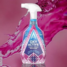 Leke Çıkarıcı + Koltuk ve Halı Temizleyici 750 ml