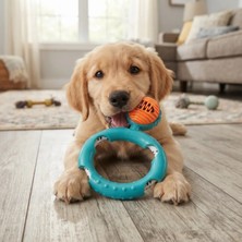 Ps Halatlı Disk Köpek Isırma Oyuncağı - Mama Ödüllü Mekanizma
