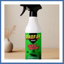 Evçem Sıvı Böcek Ilacı Sprey 450 ml - Sinek, Karınca, Pire Evcem
