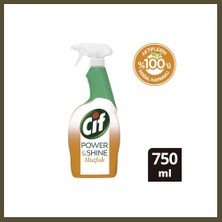Northcity Sprey 750 ml Power & Shine Mutfak 1 Adet Bx