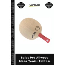 Carlburn Premium Balat Pro Allwood Masa Tenisi Tahtası Tahta Eğlence Kulüp