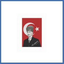 Evçem 70X105CM Atalı Bayrak Evcem