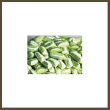 Northcity Paşazade Yeşil Nane Akide Şeker 300 gr Bx