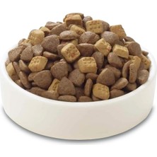 Str Store Tavuklu Tahılsız Yavru Kedi Maması 1,5kg