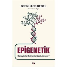 Nzm Store Epigenetik: Deneyimler Kalıtımla Nasıl Aktarılır?