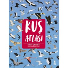 Taze Kitap Kuş Atlası