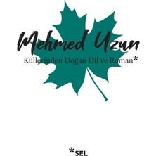 Küllerinden Doğan Dil ve Roman