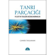 İstanbul Yayınevi Tanrı Parçacığı