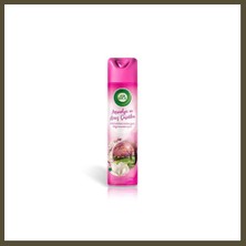 Northcity Aerosol Manolya 300ML 1 Adet Bx