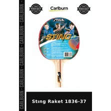 Carlburn Özel Seri Stıng Raket 1836-37 Aktivite Dinlence Eğlence