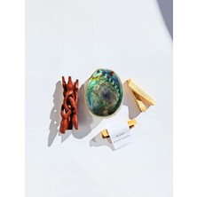 Luma Gift Box Palo Santo Tütsü Seti (2 Adet Palo Santo Tütsü + Abalone Deniz Kabuğu Tütsülük ve Ayaklık Stand)