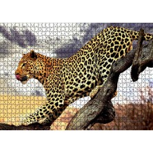 Rafta Tr Cakatablo Yaban Hayat Leopar Hayvan Görseli 1000 Parça Puzzle Yapboz Mdf Ahşap