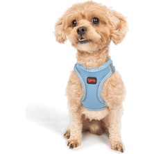 Air-Mesh Küçük ve Orta Irk Kedi Köpek Göğüs Tasması - Yumuşak, Nefes Alabilir, Dayanıklı