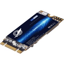 Dogfish Technology Three Colour Dogfısh Dogfish SSD 250 GB M.2 2242 Mlc Dahili Ssd, Masaüstü ve Laptop Için (250 GB M.2 2242)