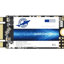 Dogfish Technology Three Colour Dogfısh Dogfish SSD M.2 2242 250 GB Katı Hal Sürücüsü Ngff Dahili Masaüstü Bilgisayar Masaüstü Dizüstü Bilgisayar Için 6 Gb/s Yüksek Performanslı Sabit Disk (250 Gb, M.2 2242)