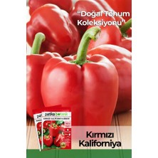 Odea Tr 100 Adet Kırmızı Kaliforniya Biber Tohumu